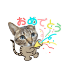 冬の日常や年末年始も大活躍の猫すたんぷ（個別スタンプ：29）