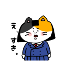 学生三毛猫ねここ（個別スタンプ：15）