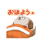 キジバトくん日記（個別スタンプ：14）