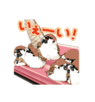 キジバトくん日記（個別スタンプ：22）