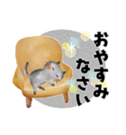 オトナメルヘン＊秋～冬（個別スタンプ：40）