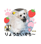 めりる日常（個別スタンプ：1）