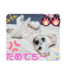 めりる日常（個別スタンプ：2）