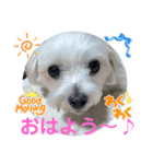めりる日常（個別スタンプ：5）
