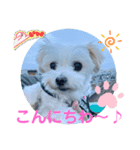 めりる日常（個別スタンプ：6）