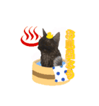 かわいいポン太（個別スタンプ：3）