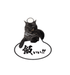 かわいいポン太（個別スタンプ：8）