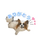 リンといっしょ！（個別スタンプ：4）