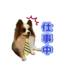 リンといっしょ！（個別スタンプ：10）