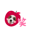 リンといっしょ！（個別スタンプ：11）
