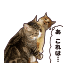 るのむぎ（個別スタンプ：1）