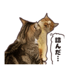 るのむぎ（個別スタンプ：2）