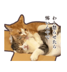 るのむぎ（個別スタンプ：3）