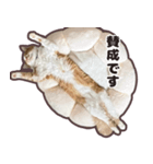 るのむぎ（個別スタンプ：5）