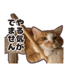 るのむぎ（個別スタンプ：6）