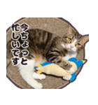 るのむぎ（個別スタンプ：7）