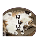 るのむぎ（個別スタンプ：8）