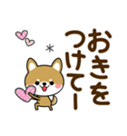 秋に使える♡豆柴【デカ文字】（個別スタンプ：25）