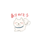 かわいい白犬（個別スタンプ：1）