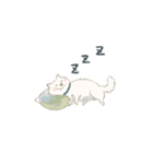 かわいい白犬（個別スタンプ：4）