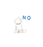 かわいい白犬（個別スタンプ：6）