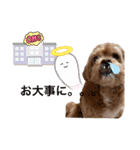 狆プーのモカ様（個別スタンプ：27）