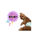 狆プーのモカ様（個別スタンプ：31）