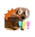 シープードル愛犬タピオカ物語2（個別スタンプ：5）