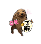 シープードル愛犬タピオカ物語2（個別スタンプ：11）