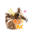 シープードル愛犬タピオカ物語2（個別スタンプ：14）