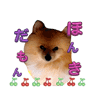 はるくんもうすぐ2才。悶絶可愛い僕？（個別スタンプ：2）