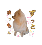 はるくんもうすぐ2才。悶絶可愛い僕？（個別スタンプ：3）