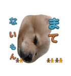 はるくんもうすぐ2才。悶絶可愛い僕？（個別スタンプ：4）