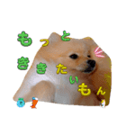 はるくんもうすぐ2才。悶絶可愛い僕？（個別スタンプ：5）