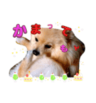 はるくんもうすぐ2才。悶絶可愛い僕？（個別スタンプ：8）
