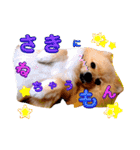 はるくんもうすぐ2才。悶絶可愛い僕？（個別スタンプ：9）