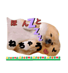 はるくんもうすぐ2才。悶絶可愛い僕？（個別スタンプ：10）