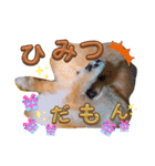 はるくんもうすぐ2才。悶絶可愛い僕？（個別スタンプ：11）
