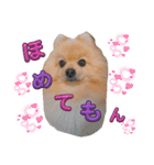 はるくんもうすぐ2才。悶絶可愛い僕？（個別スタンプ：15）