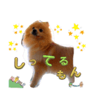 はるくんもうすぐ2才。悶絶可愛い僕？（個別スタンプ：16）