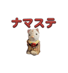 みーちゃん達のいちにち（個別スタンプ：5）