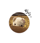 みーちゃん達のいちにち（個別スタンプ：33）
