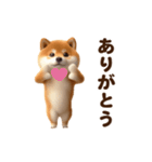 踊る！柴犬わんだふる（個別スタンプ：5）