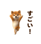 踊る！柴犬わんだふる（個別スタンプ：20）