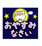 飛び出す豆しば！カラフル敬語デカ文字（個別スタンプ：2）