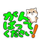 飛び出す豆しば！カラフル敬語デカ文字（個別スタンプ：7）