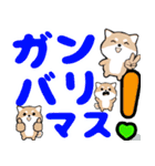 飛び出す豆しば！カラフル敬語デカ文字（個別スタンプ：16）