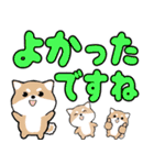 飛び出す豆しば！カラフル敬語デカ文字（個別スタンプ：18）