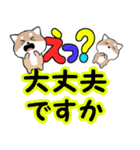 飛び出す豆しば！カラフル敬語デカ文字（個別スタンプ：22）