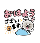 こむぎさん(2)（個別スタンプ：4）